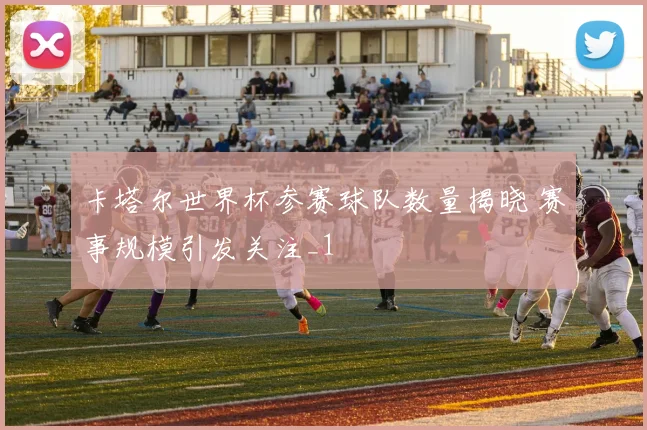 卡塔尔世界杯参赛球队数量揭晓 赛事规模引发关注_1